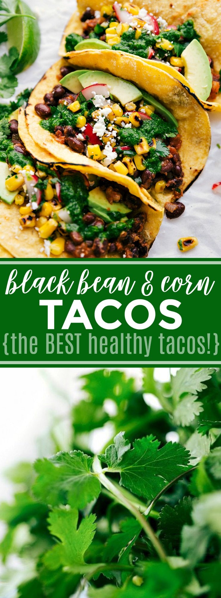 Healthy tacos made with seasoned black beans, a corn relish, fresh avocado, and a delicious cilantro pesto; Made with wholesome, good-for-you ingredients, these are the BEST healthy tacos ever! These tacos are vegetarian, but trust me, you won't be missing the meat! via chelseasmessyapron.com #taco #corn #black #bean #vegetarian #veggie #healthy #easy #quick #tacos #cilantro #avocado