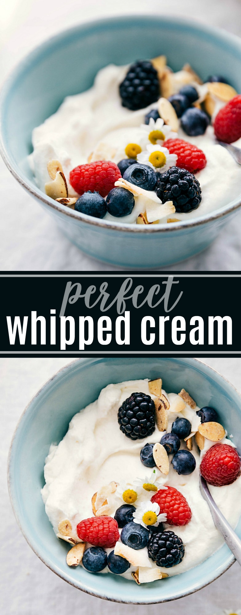 Knowing how to make whipped cream from scratch is handy for so many dishes and desserts. This recipe gives you all the steps, tips, and tricks to make perfect delicious whipped cream every time. via chelseasmessyapron.com #how #to #whipped #cream #homemade #heavy #cream #dessert #treat #easy #quick