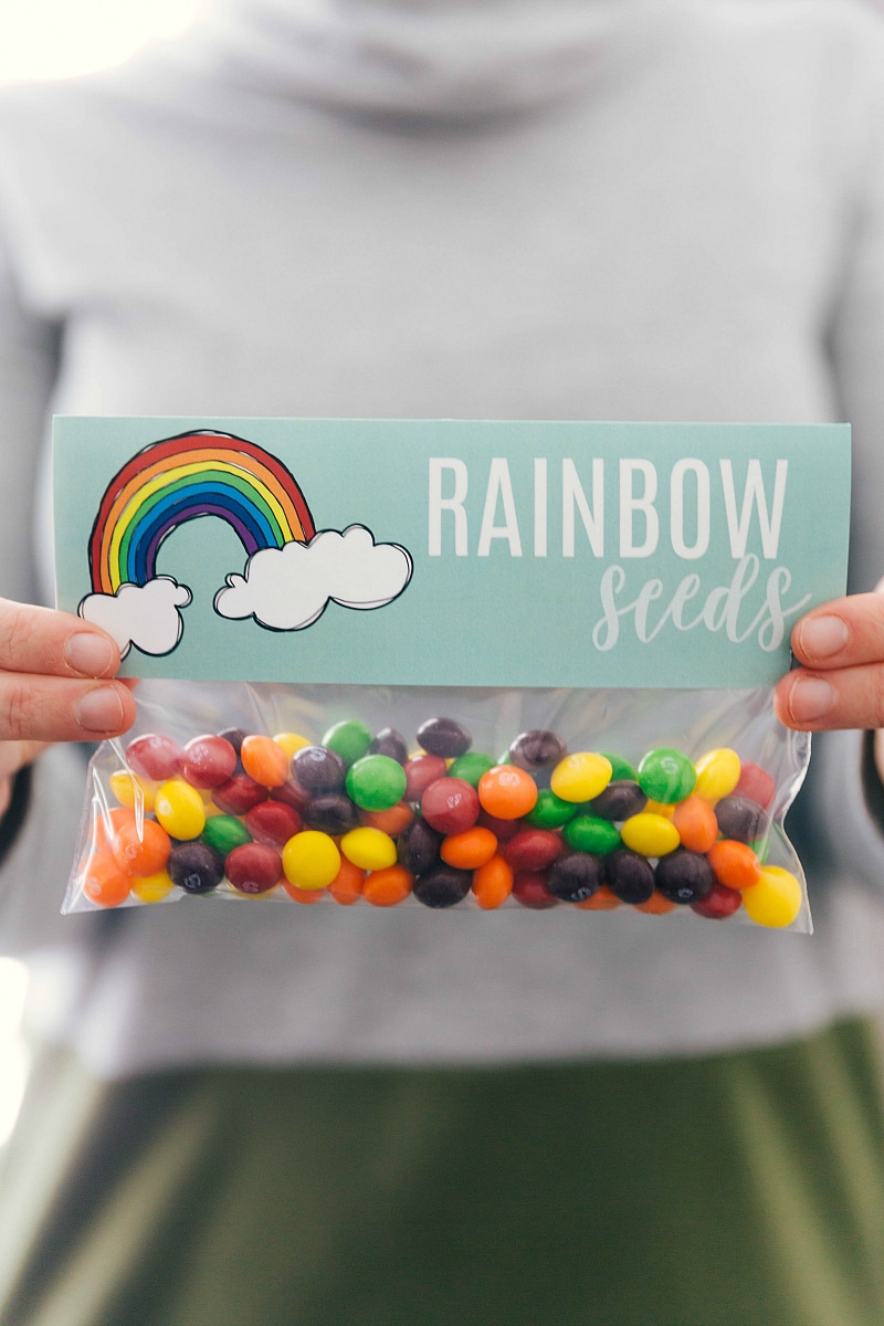 Rainbow seeds bag