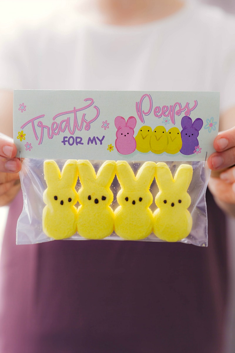 Treats for my peeps bag topper