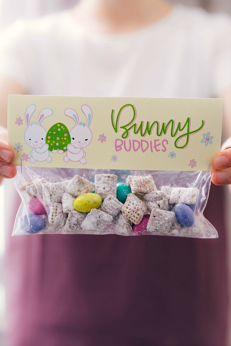 Bunny Buddies bag topper