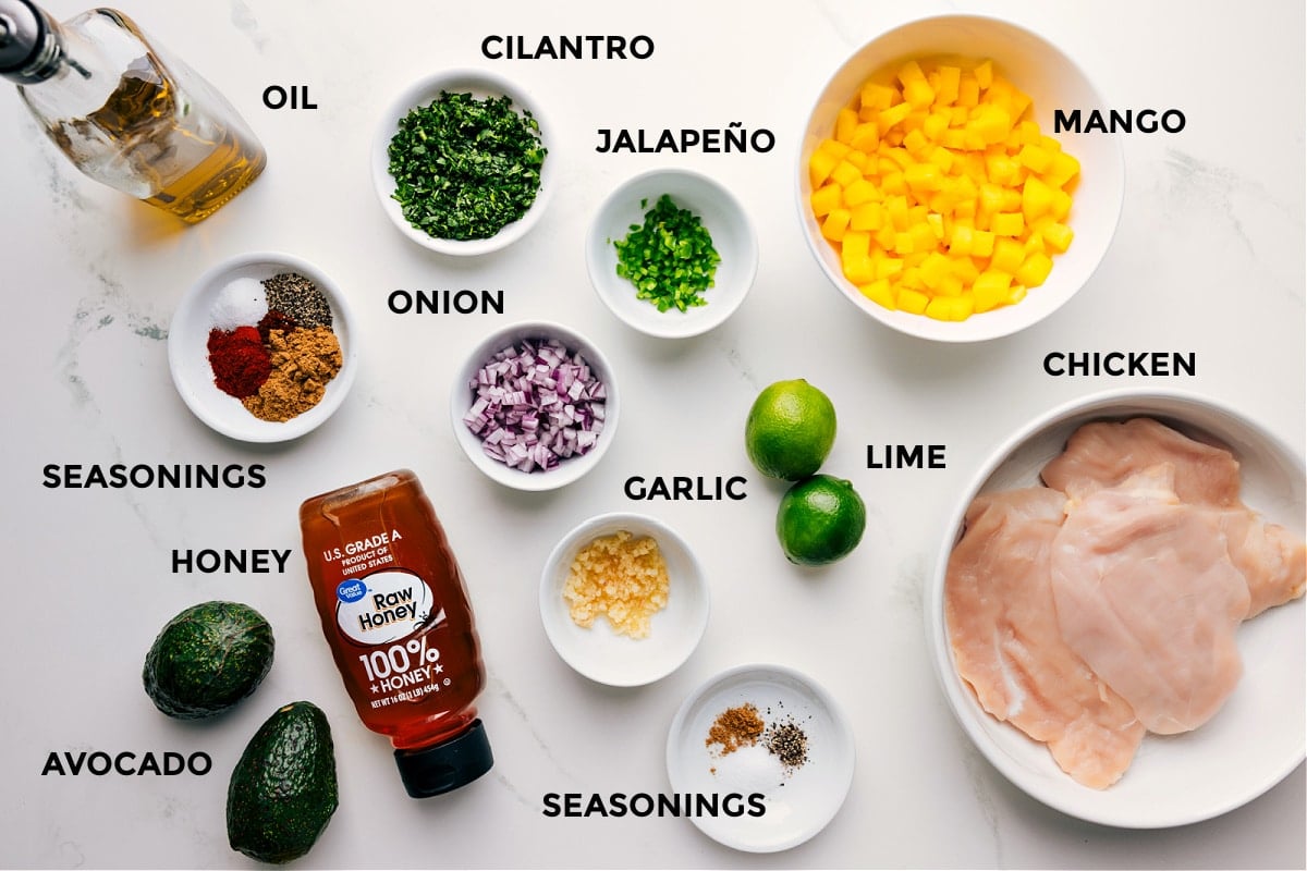 All ingredients prepped for easy assembly, including the meat, fruit, cilantro, jalapeño, onion, garlic, seasonings, honey, avocado, and oil.