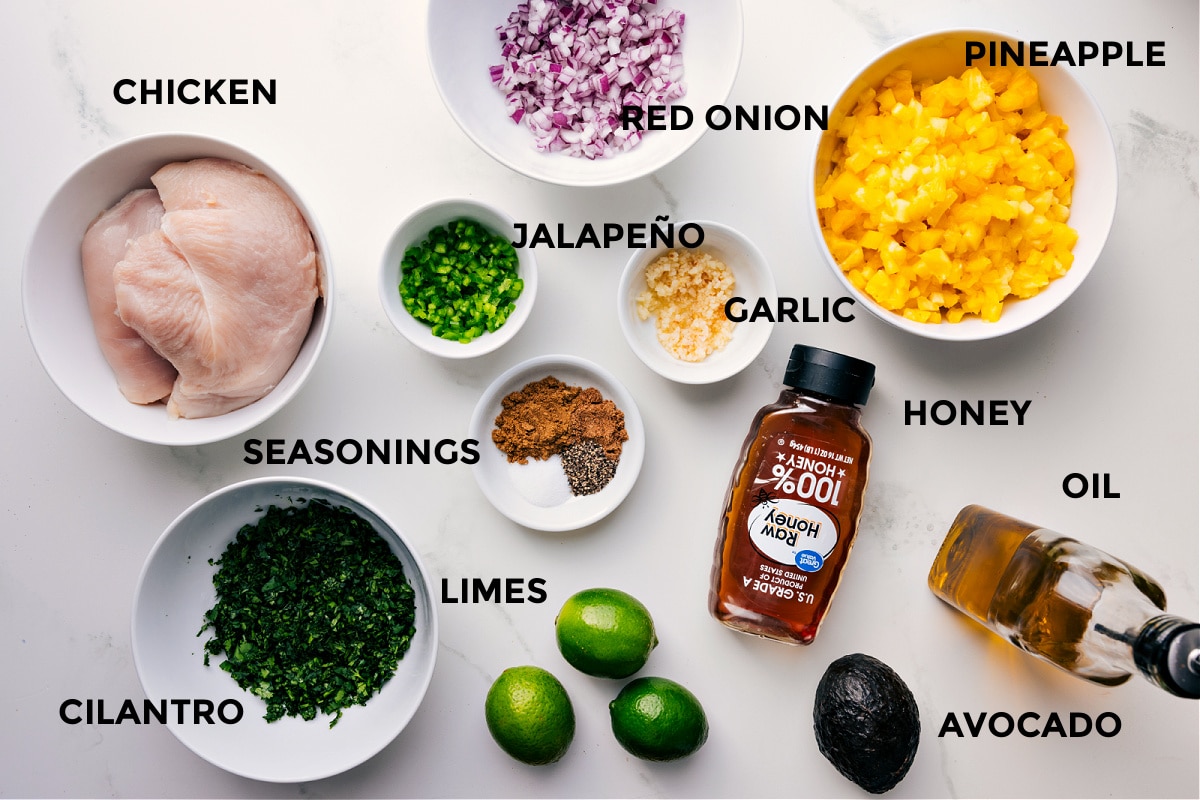 All the ingredients prepped for easy assembly: meat, red onion, pineapple, jalapeño, garlic, honey, oil, avocado, limes, seasonings, and cilantro.
