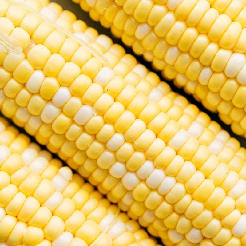 Up-close photo of fresh corn about to be grilled.