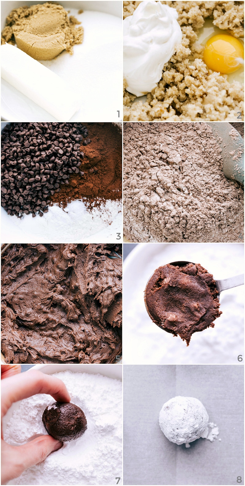 Process shots of Chocolate Crinkle Cookies being made: combining the butter with the sugars; mixing in the egg and sour cream; adding chocolate chips and cocoa; mixing dry ingredients; combining everything; scooping dough; forming dough into balls; rolling dough balls in powdered sugar.