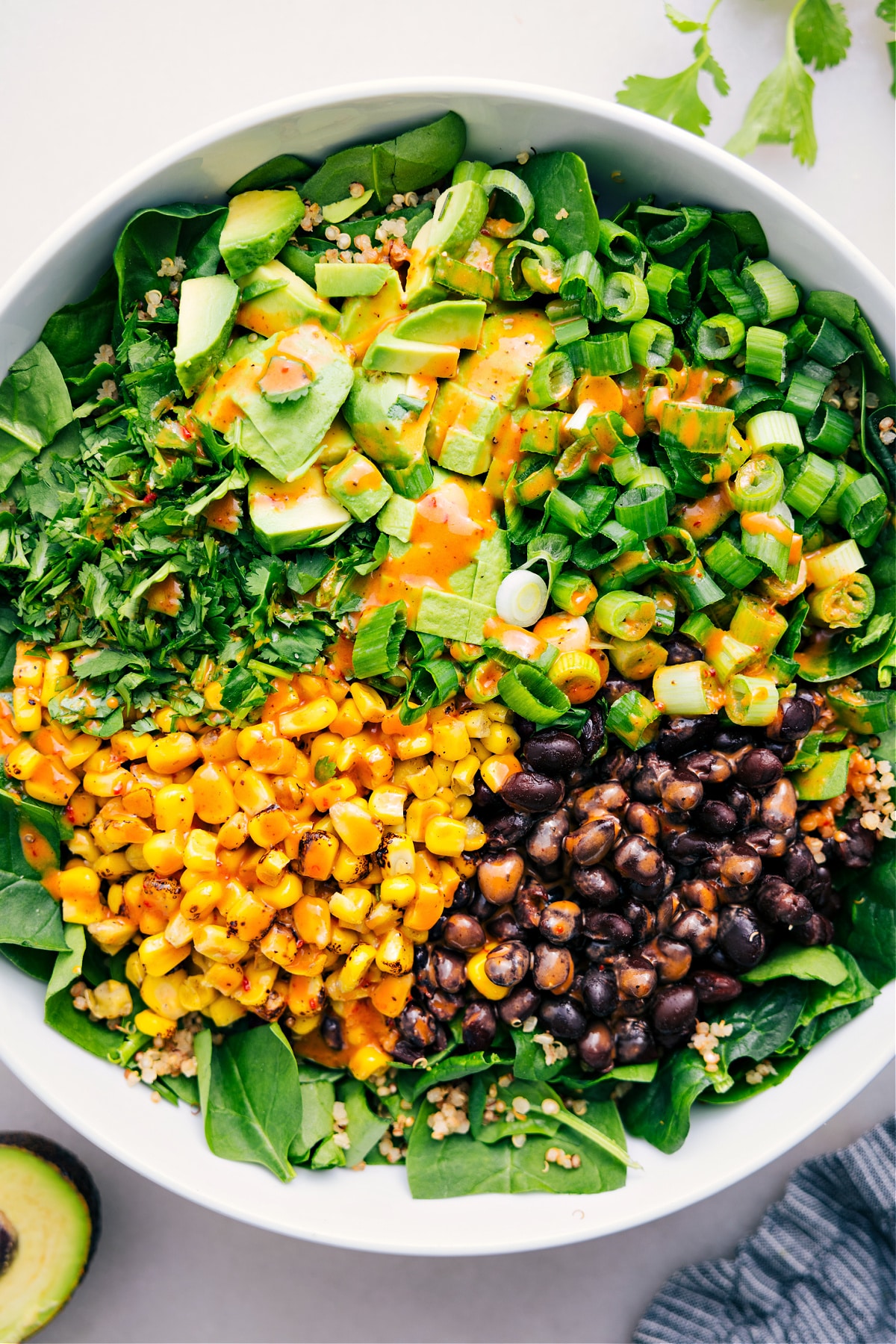 The Best Quinoa Corn Salad Recipe Quinoa Corn Salad in a bowl with a drizzle of dressing.