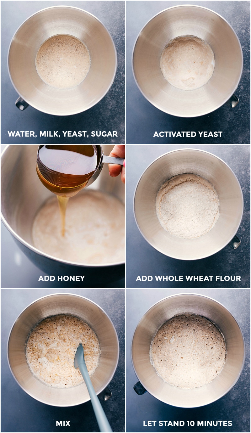 Process shots-- images of the water, milk yeast, and sugar being added; the yeast being activated; honey being added; flour being added; and everything being mixed together; and left to stand for 10 minutes.