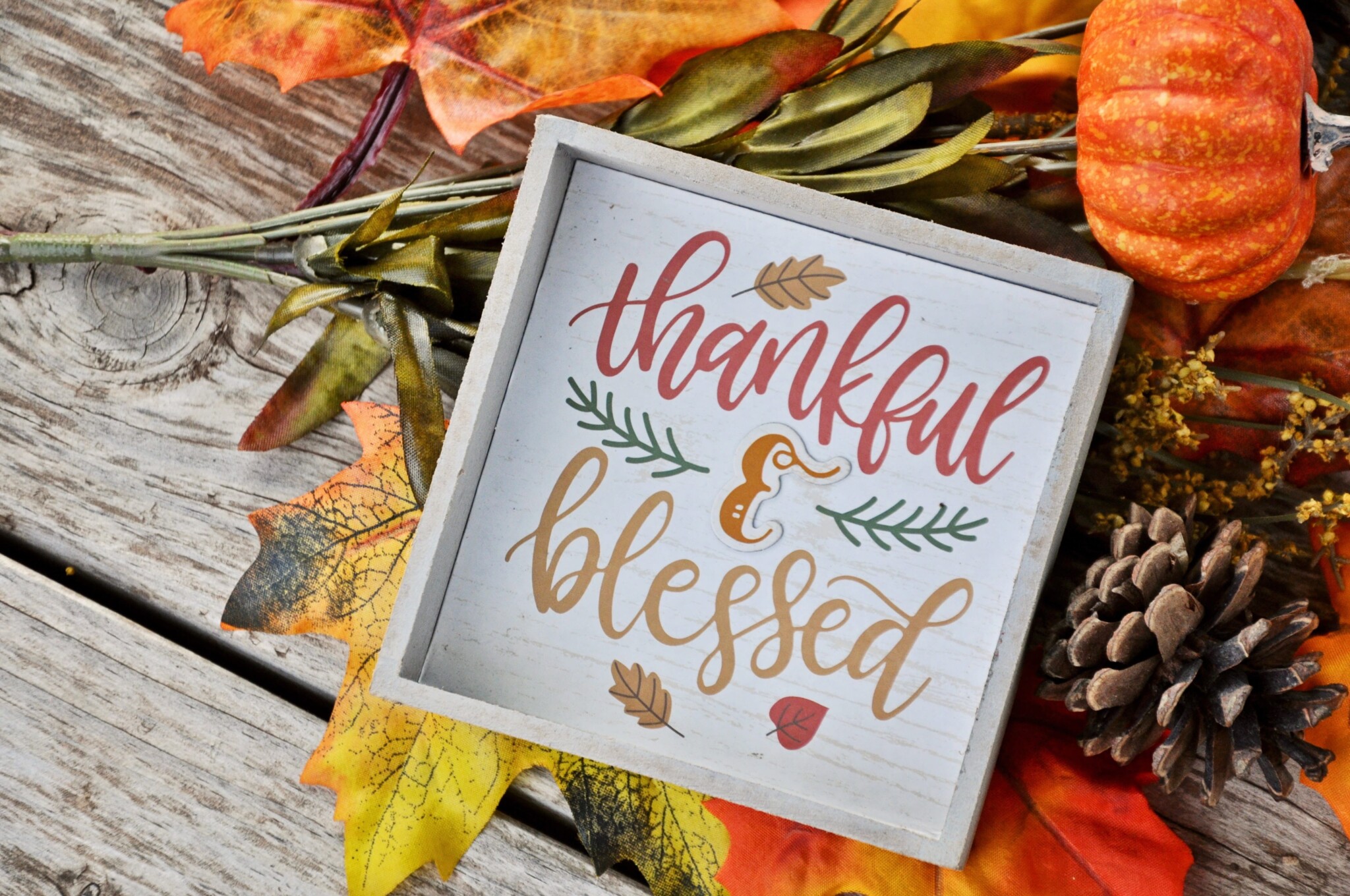 Fall foliage and a plaque that says thankful and blessed.