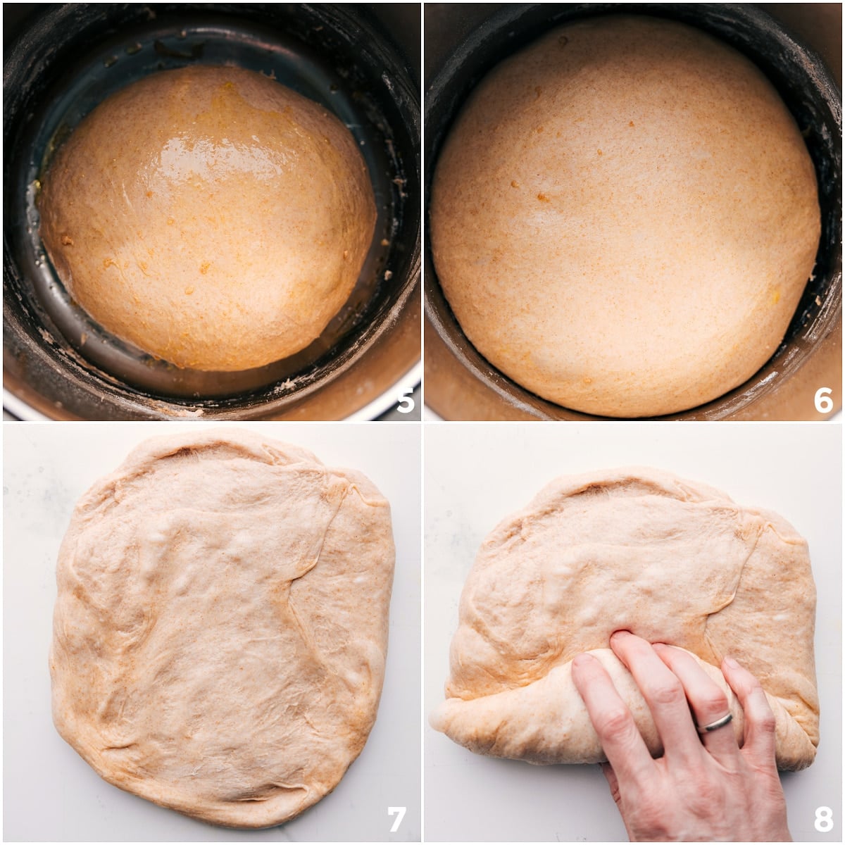 Honey whole wheat bread dough rising and then being kneaded.