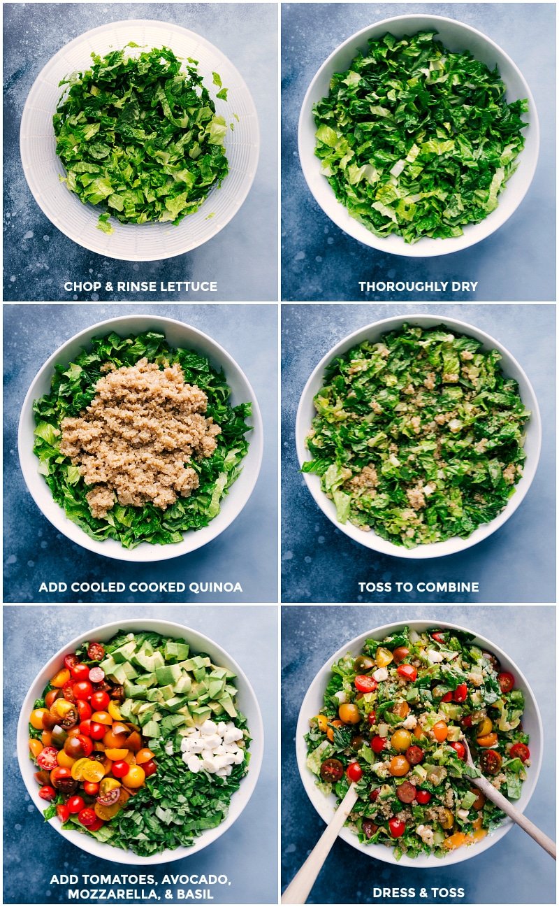 Process shots: chop and rinse lettuce; dry and add cooled quinoa; toss to combine; add remaining ingredients; toss with balsamic vinaigrette.