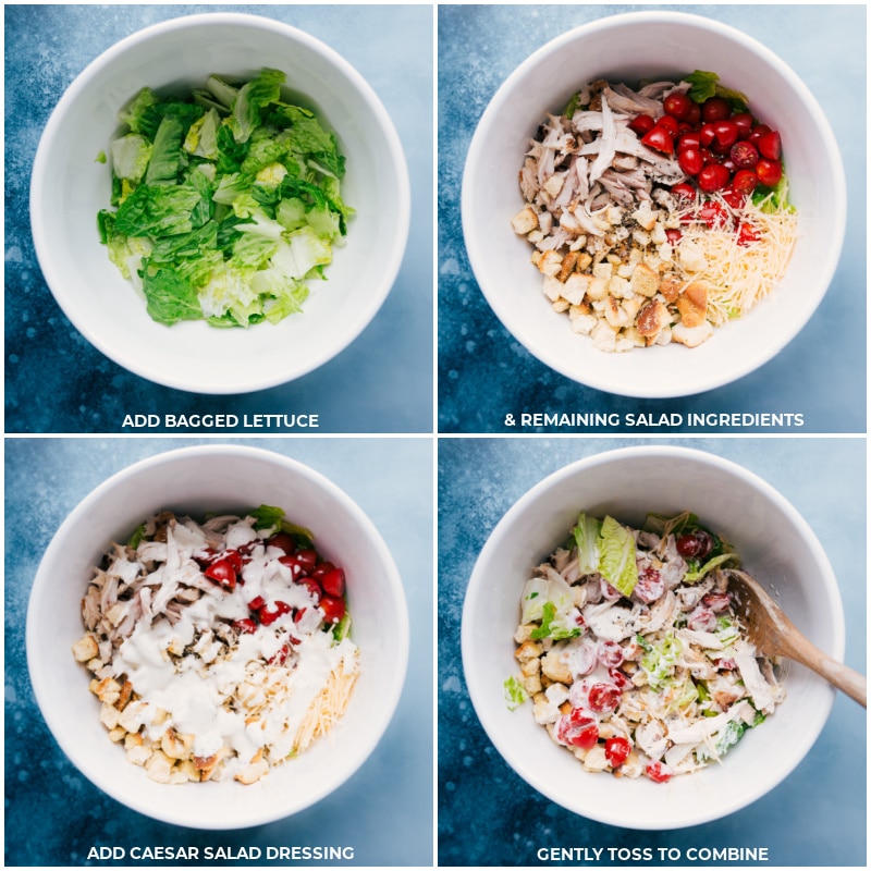 Process shots--add packaged lettuce to a large bowl; add remaining salad ingredients; add dressing; toss gently to combine.