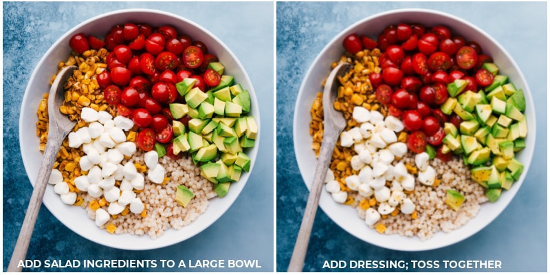 Process shots: Add salad ingredients to a large bowl and toss with the dressing.