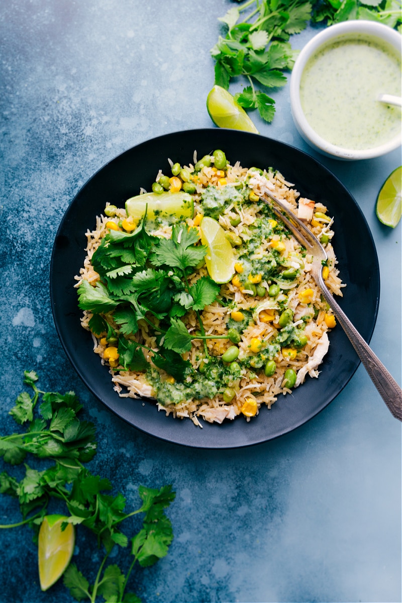 Overhead image of a plate of the Coconut Chicken and Rice