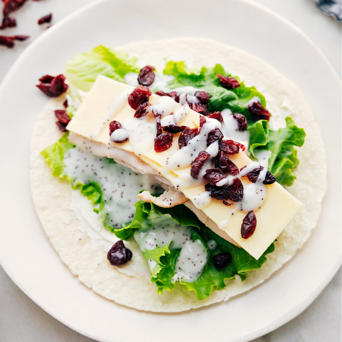 All the ingredients assembled on a tortilla.