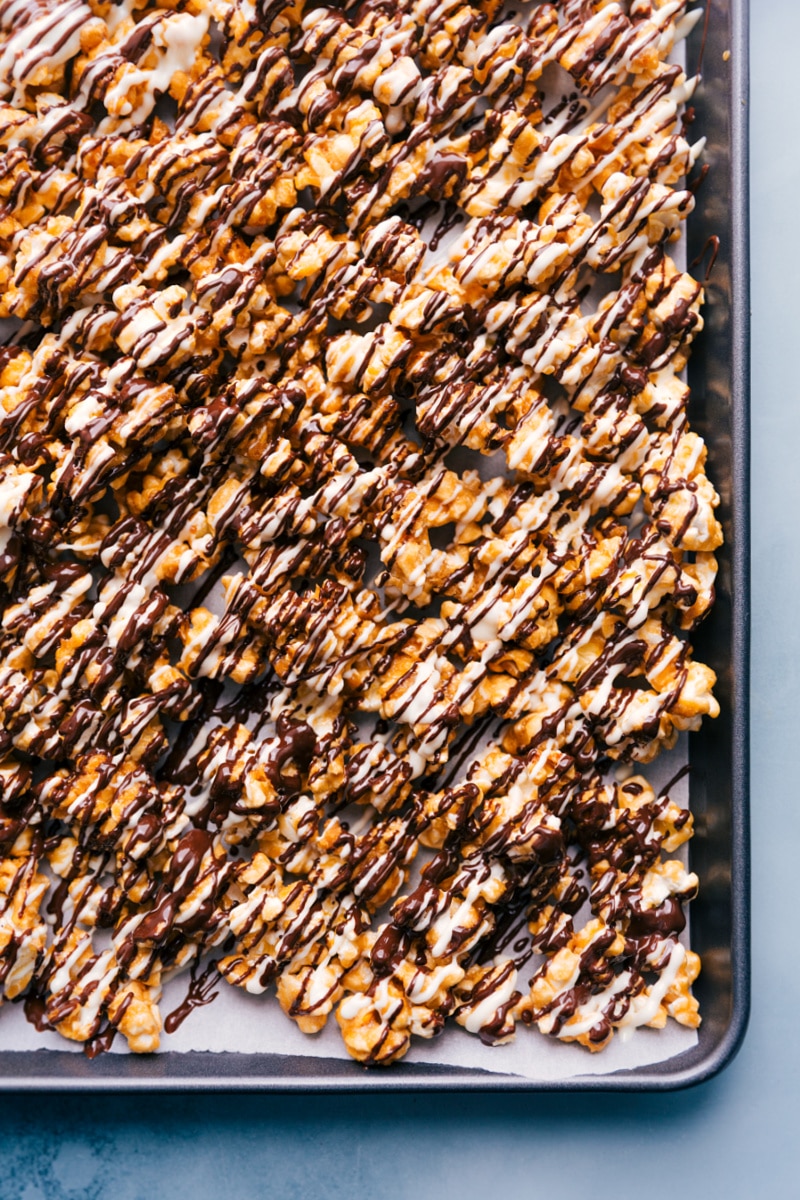 Overhead image of Zebra Popcorn ready to be enjoyed