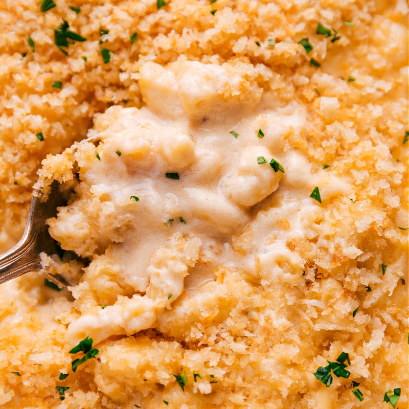 Up-close overhead image of Baked Mac and Cheese with a fork taking a bite out