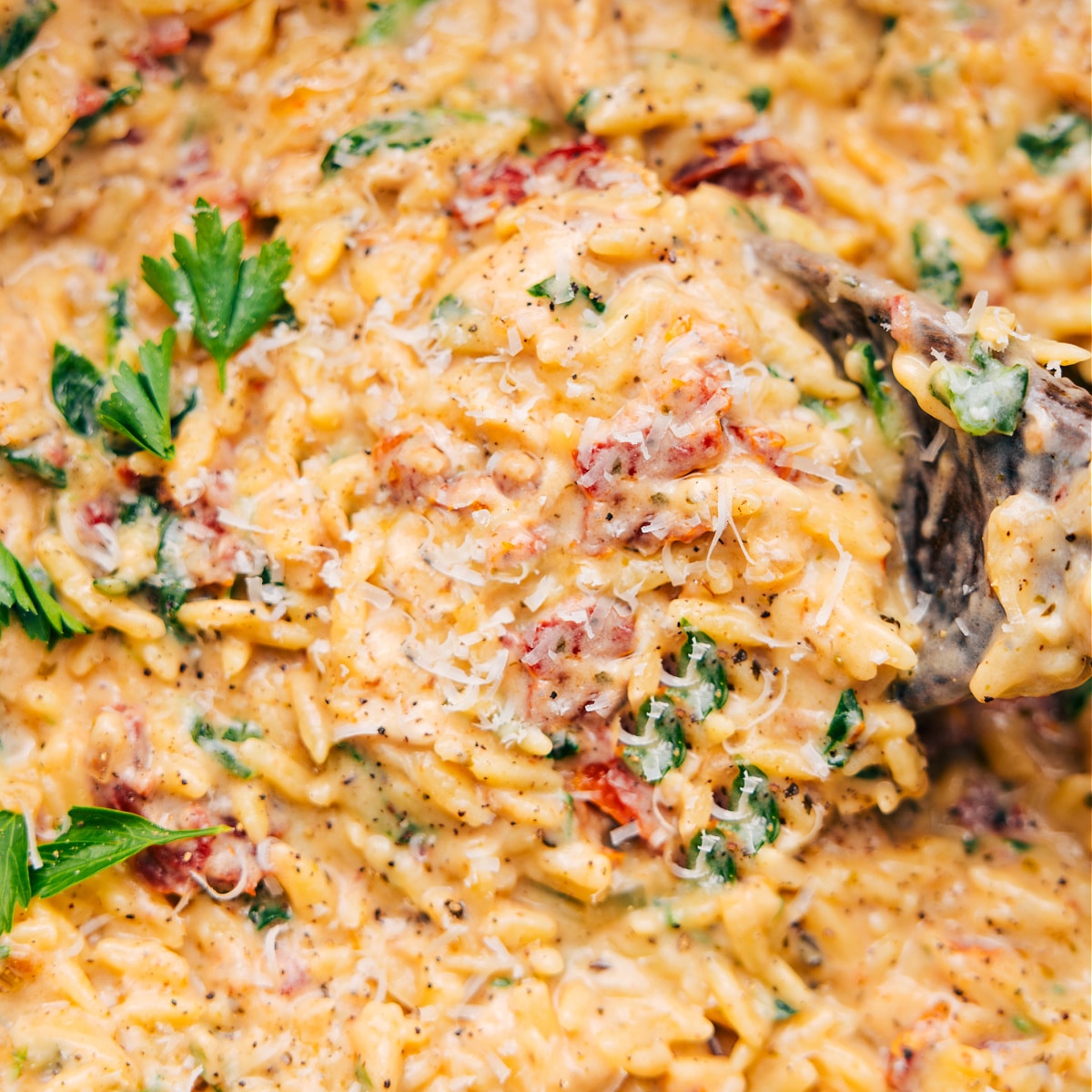 Cheesy chicken orzo is in the pot, ready to be served for a quick weeknight dinner.