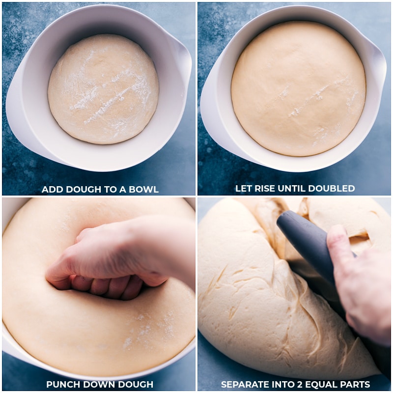 Process shots--add dough to a bowl; let rise until doubled; punch down dough; separate into two equal parts