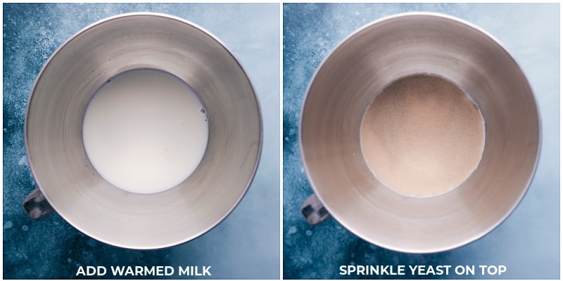 Process shots-- images of the warmed milk and yeast sprinkled on top