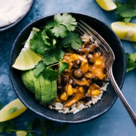 Salsa Verde Chicken (Instant Pot!)