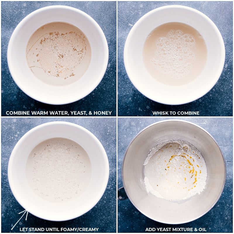 Process shots of the French Bread-- images of the yeast, warm water, honey; rising; oil being added to the mixture