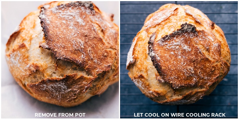 View of the baked bread on a cooling rack