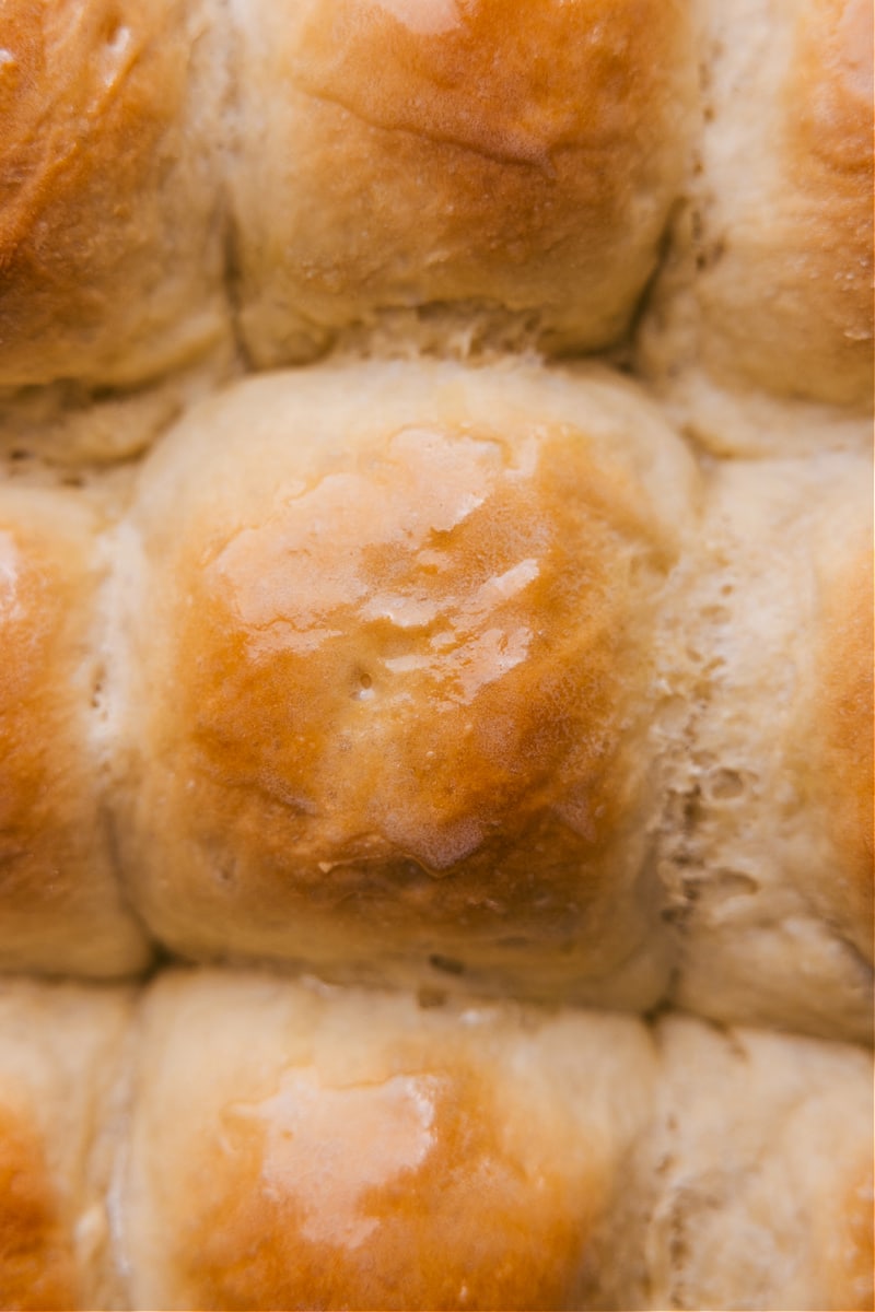 Up-close overhead image of Life-Changing No-Knead Dinner Rolls