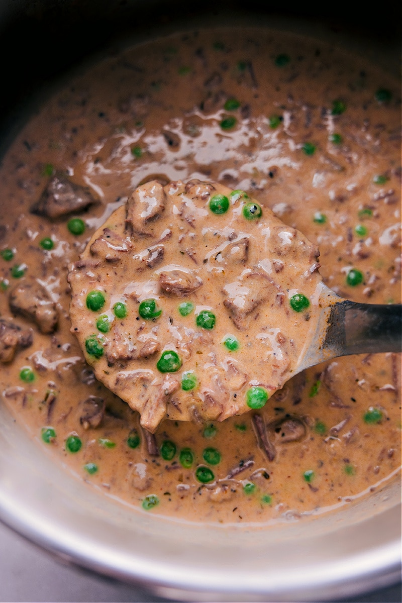 Overhead view of a Bowl of Beef and Noodles