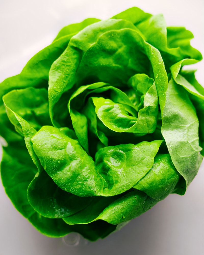 Overhead image of the butter lettuce we use