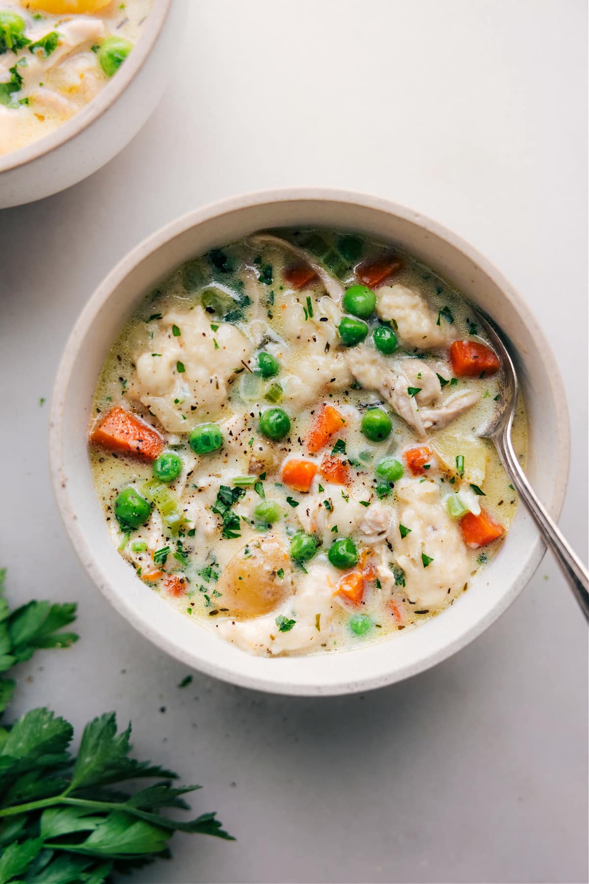 Shot of a bowl filled with Chicken and Dumplings from an Instant Pot, ready to eat.