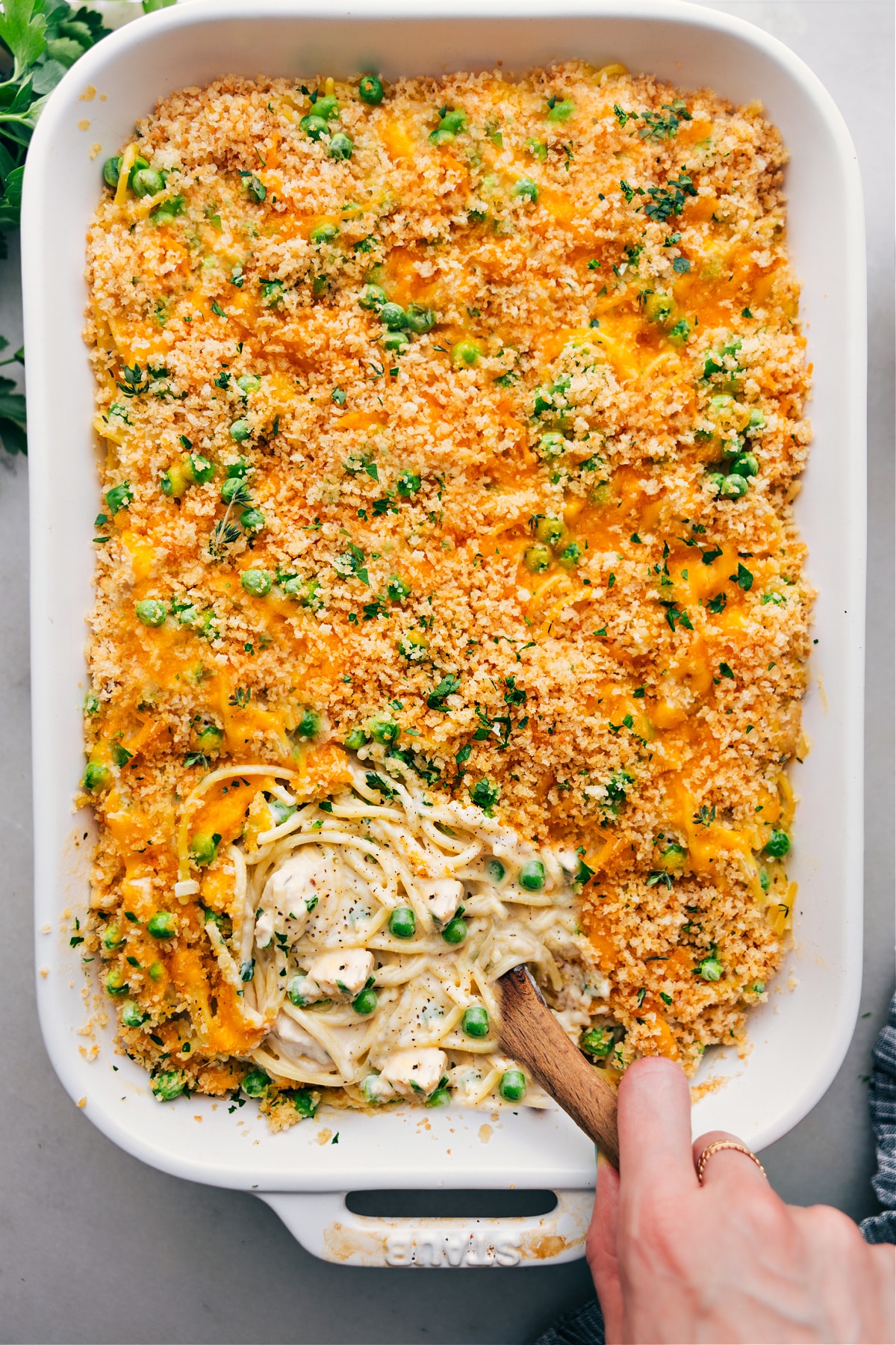 Delicious casserole of chicken tetrazzini with a crispy, flavorful top ready to be enjoyed.