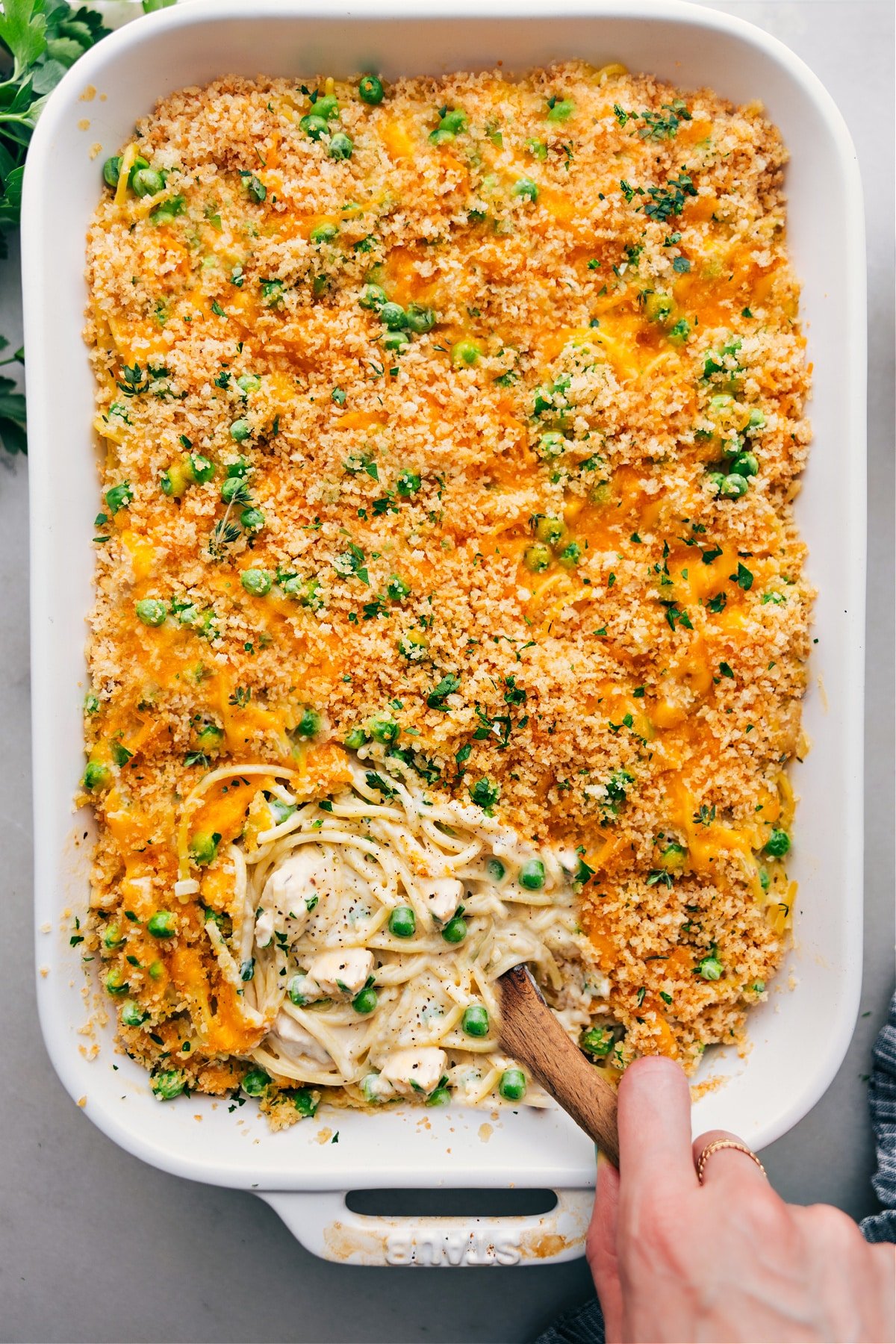 Flavorful Chicken Tetrazzini Casserole with Crispy Top Delicious casserole of chicken tetrazzini with a crispy, flavorful top ready to be enjoyed.