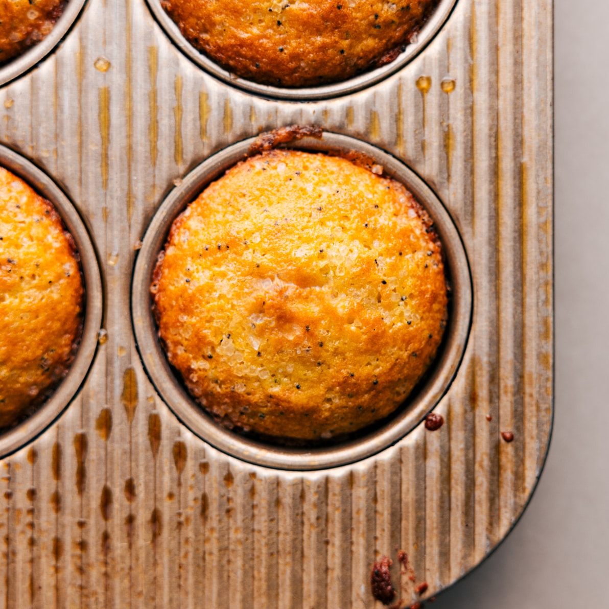 Freshly baked lemon poppy seed muffins straight out of the oven.