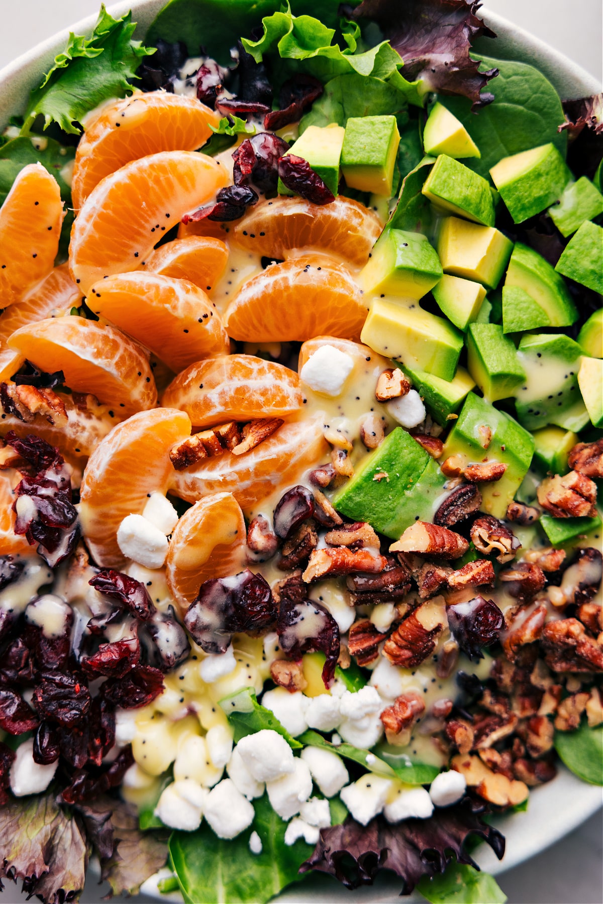 A dressed salad ready to be enjoyed.