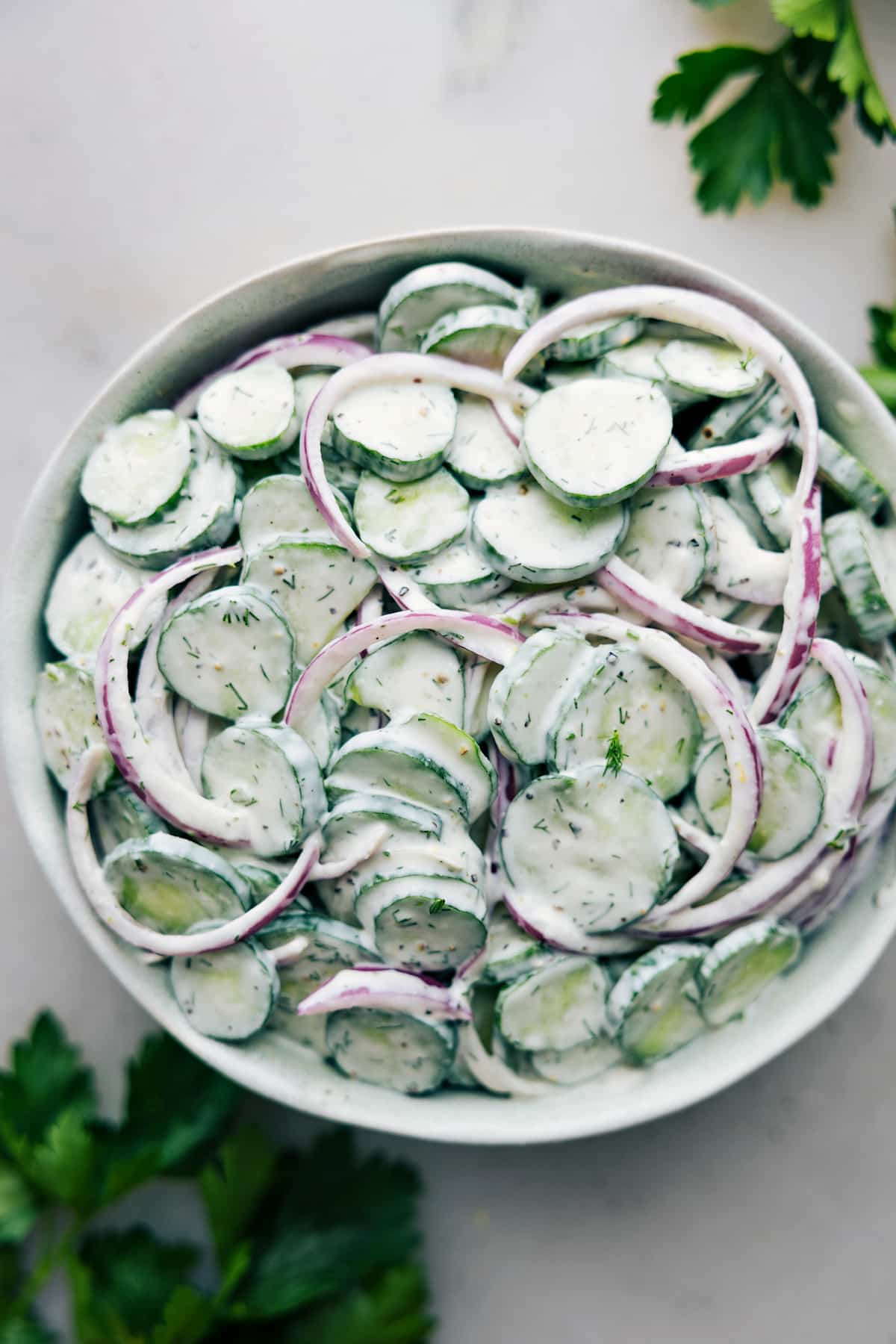Creamy cucumber salad recipe in a bowl ready to be served.