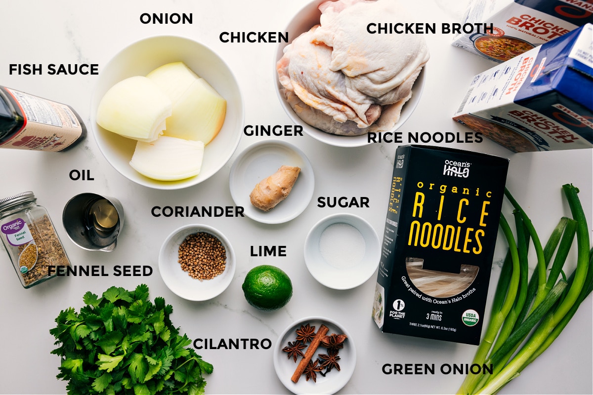 Ingredients In Chicken Pho Recipe All the ingredients in this recipe prepped out for easy assembly including the fish sauce, oil, fennel seed, cilantro, onion, coriander, chicken, ginger, lime, sugar, rice noodles, green onion, and chicken broth.