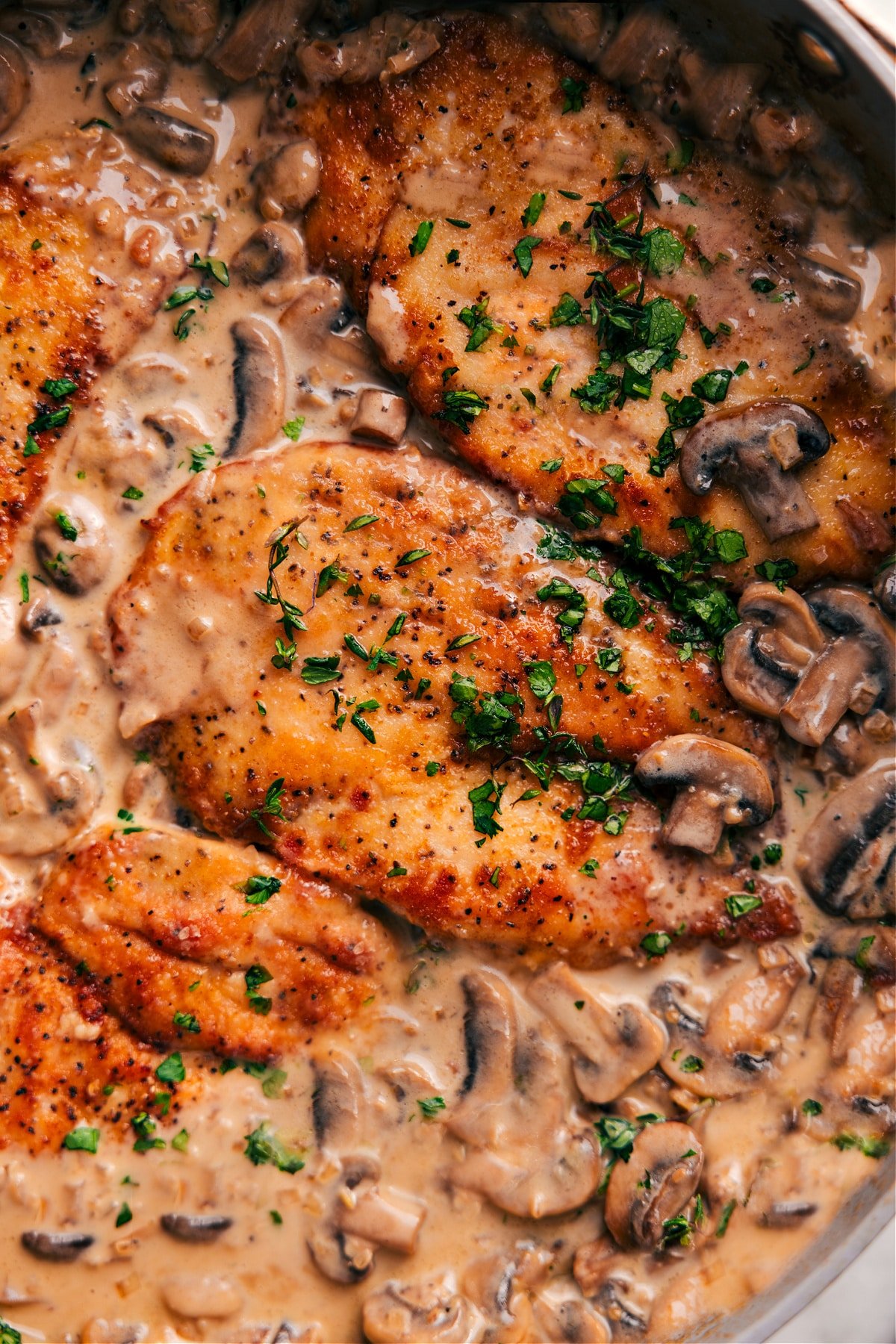 Flavorful And Creamy Chicken Marsala Recipe Chicken Marsala Recipe in the pot with fresh parsley chopped on top.