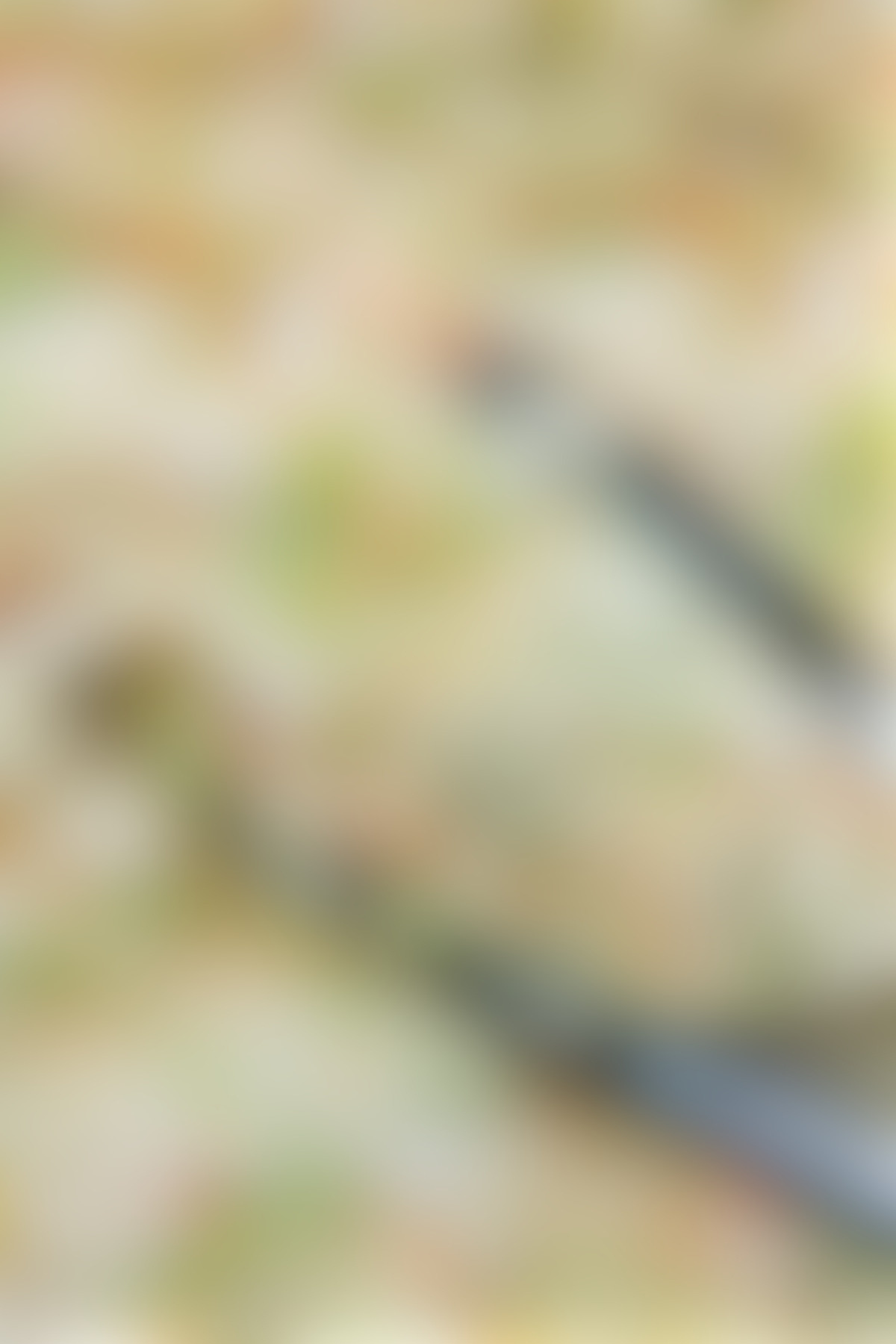 Ground Beef Taco Bowls Chick-Fil-A coleslaw copycat recipe with tongs scooping some up