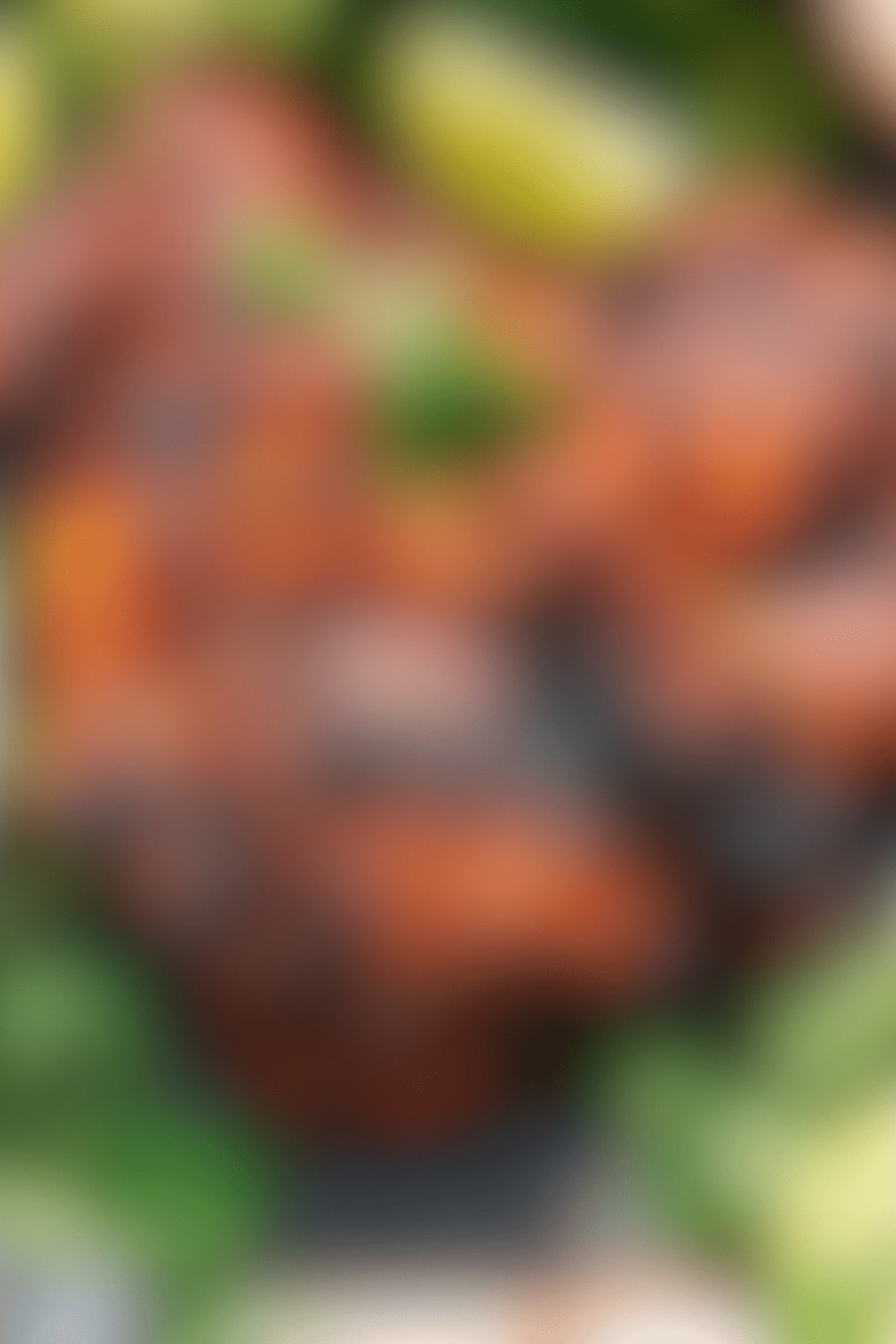 Flavorful And Charred Chipotle Chicken Recipe Copycat recipes: Seasoned Chipotle chicken recipe fresh out of the oven.