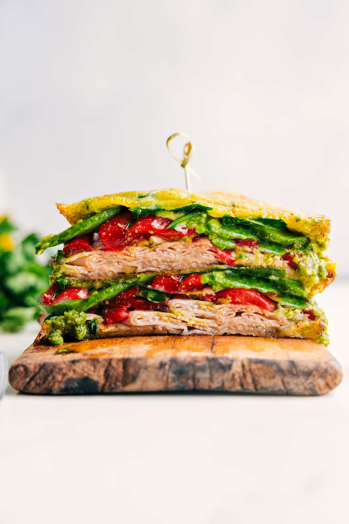 Panini Sandwich Recipes stacked with melted cheese, turkey, pesto, avocado, roasted peppers, and arugula.