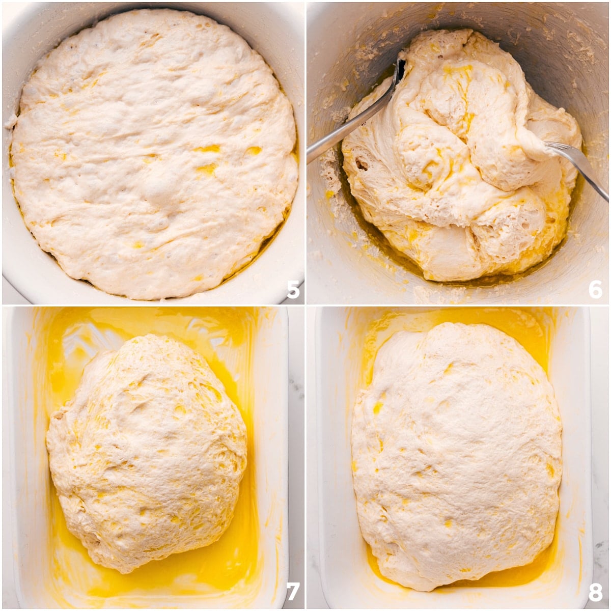 Letting Dough Rise And Turning The Dough Into A Ball Dough rising in a bowl, then folded and transferred to a 9x13-inch pan.
