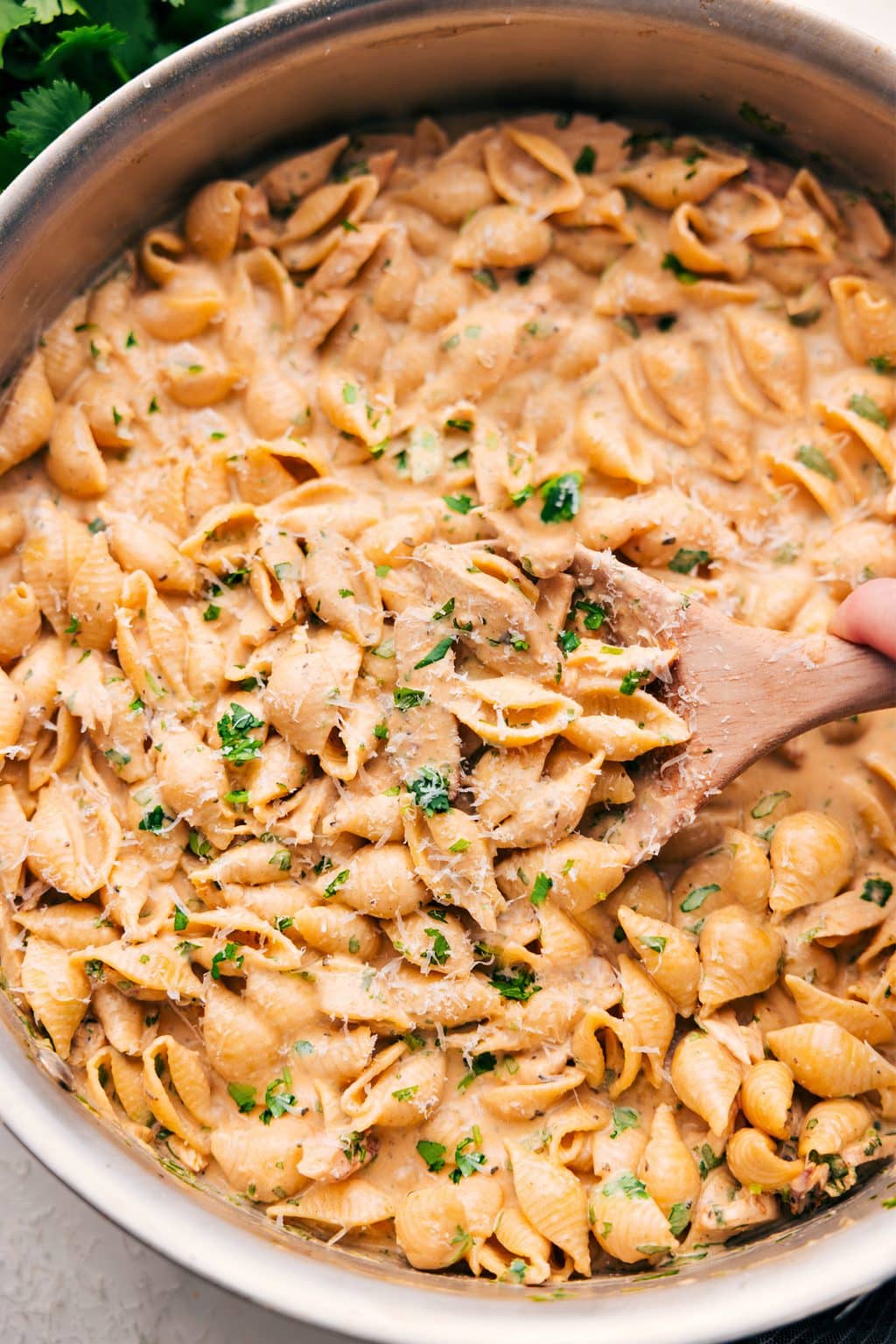 Creamy Chicken Pasta Recipe - Chelsea's Messy Apron