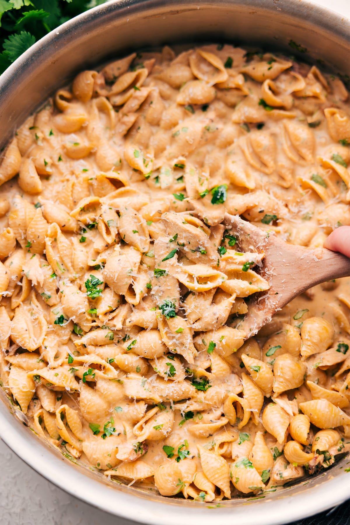Creamy chicken pasta recipe in a pot topped with chopped parsley.